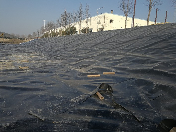 1657588737342087.jpg 惡.jpg