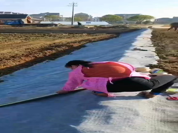 水泥毯技術優(yōu)勢及后期保養(yǎng)維護